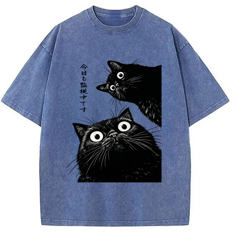 bbb The Cat Is Watching Today Washed T-Shirt