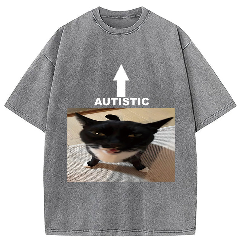 bbb Autistic Cat Washed T-Shirt