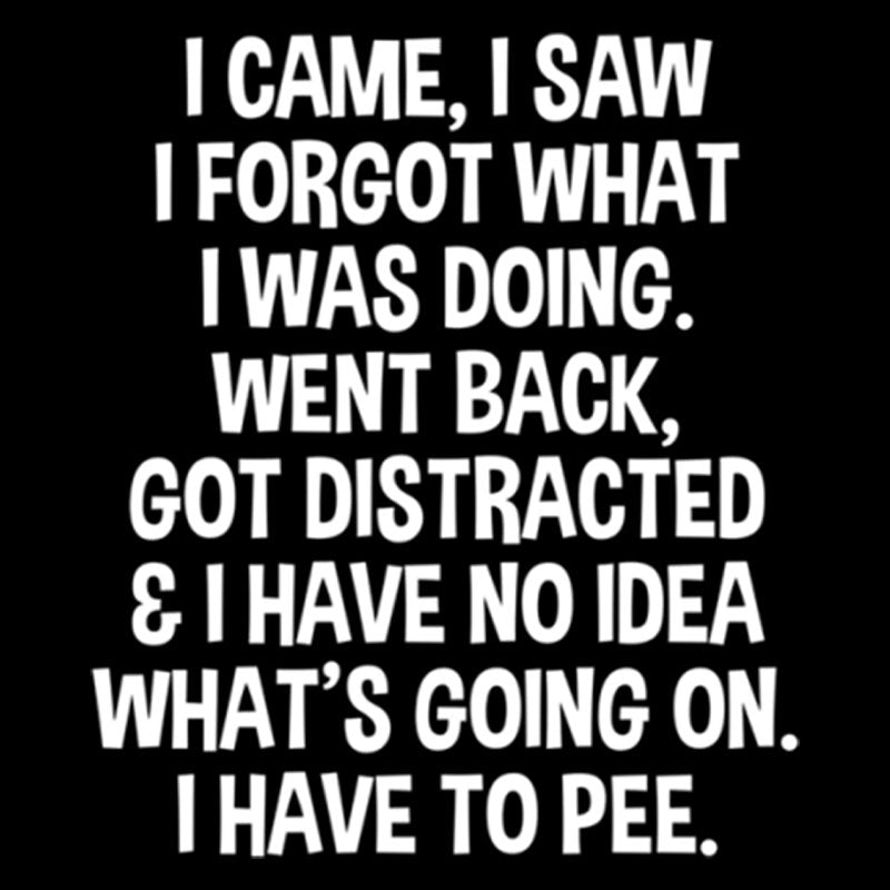 I Came I Saw I Forgot What I Was Doing  T-Shirt