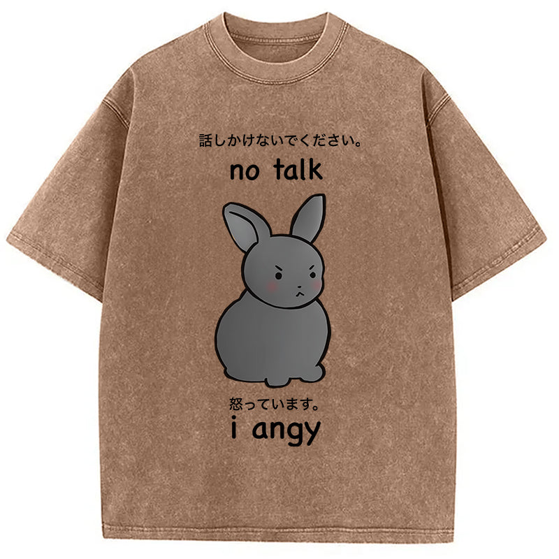 bbb No Talk I Angy Washed T-Shirt