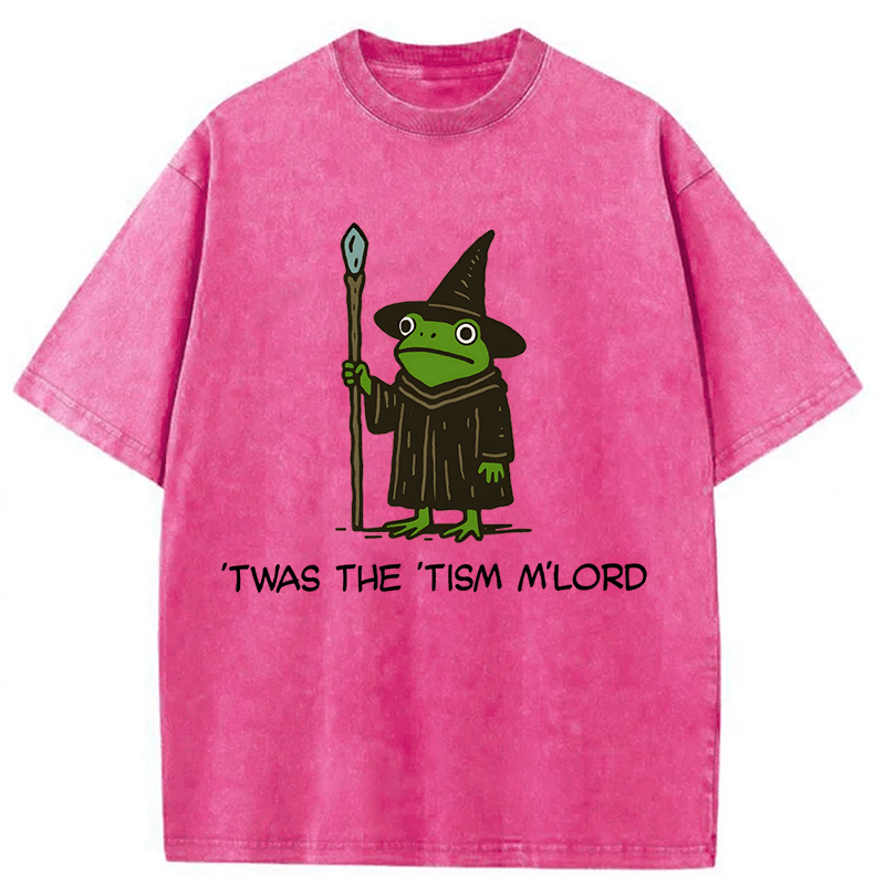 bbb Twas The Tism Frog Wizard Washed T-shirt