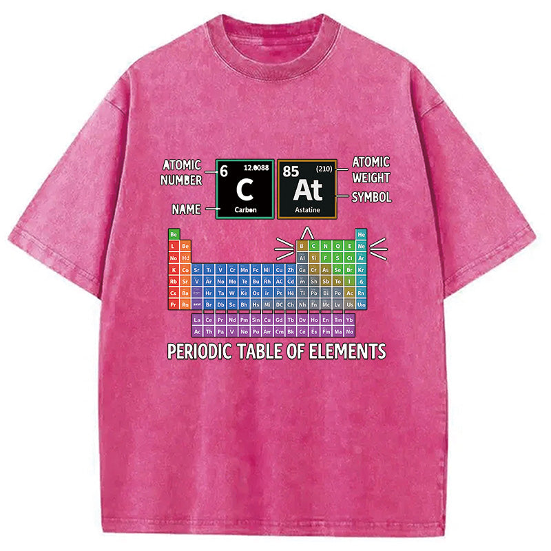 bbb Cat Periodic Table Chemistry Washed T-Shirt