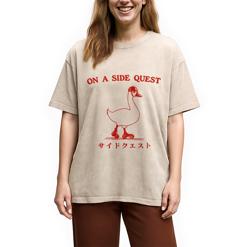 bbb On a Side Quest Goose Washed T-Shirt