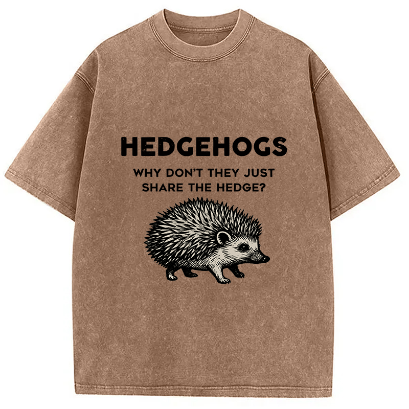 bbb Funny Hedgehog Washed T-Shirt