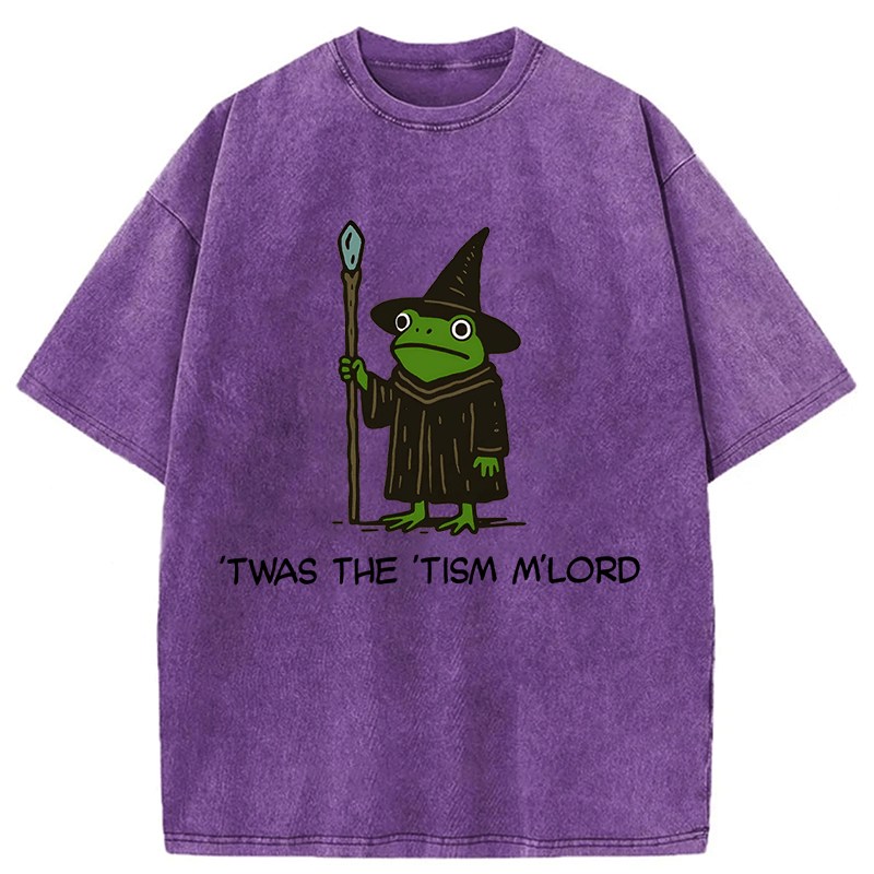 bbb Twas The Tism Frog Wizard Washed T-shirt