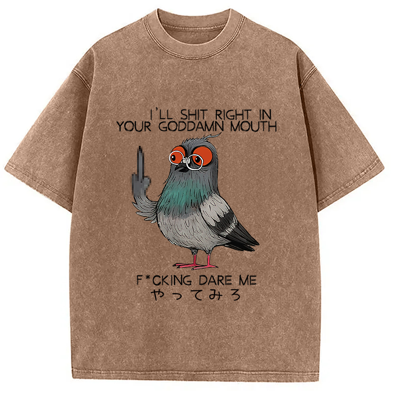 bbb Angry Pigeon Washed T-Shirt