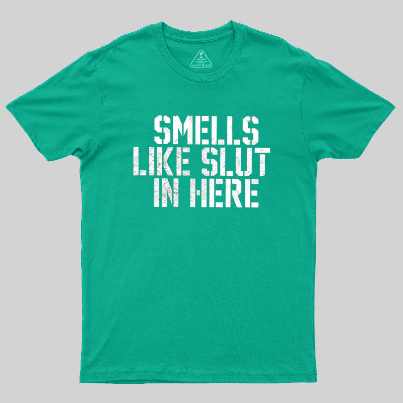 Offensive Smells Like Slut In Here  T-Shirt