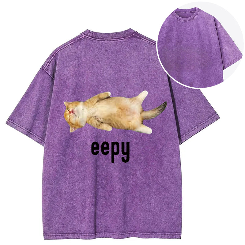 bbb Silly Sleepy Cat Meme Back Washed T-Shirt