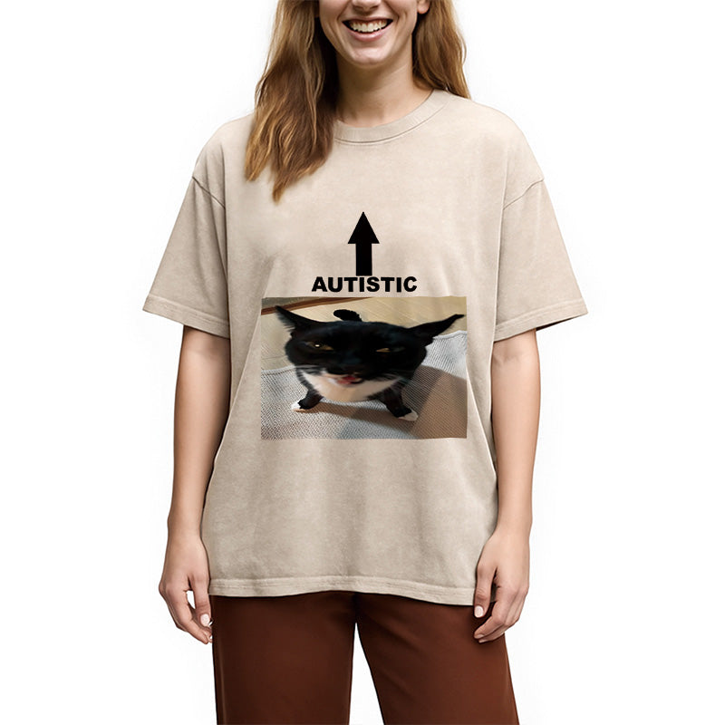 bbb Autistic Cat Washed T-Shirt