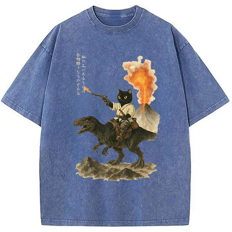 bbb Cat Riding A Dinosaur Washed T-Shirt