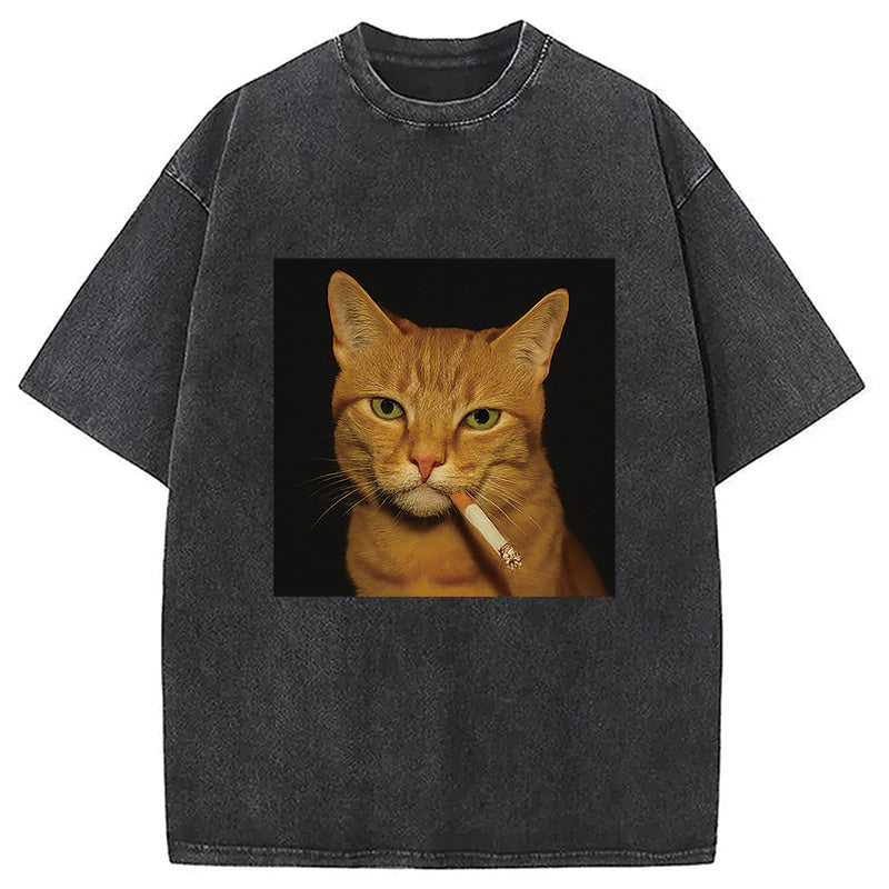 bbb Funny Orange Cat Smoking Meme Washed T-Shirt