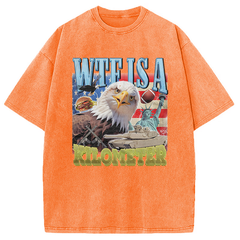 bbb Funny Eagle Meme Washed T-Shirt