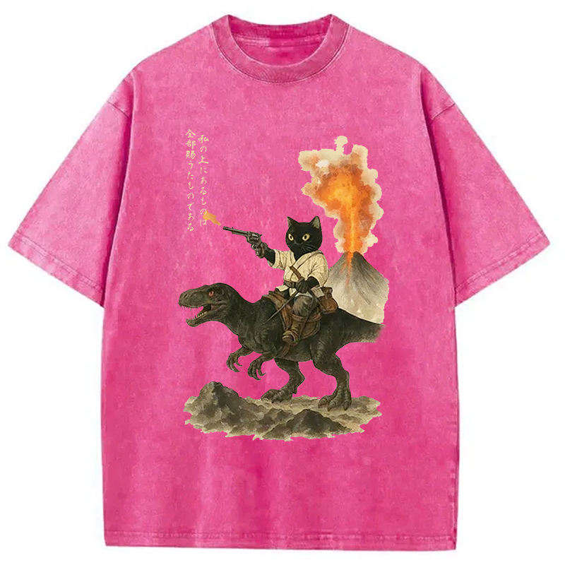bbb Cat Riding A Dinosaur Washed T-Shirt
