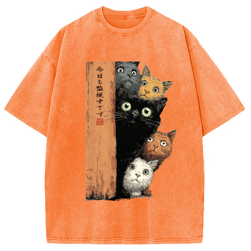 bbb Cats Are Watching You Washed T-Shirt