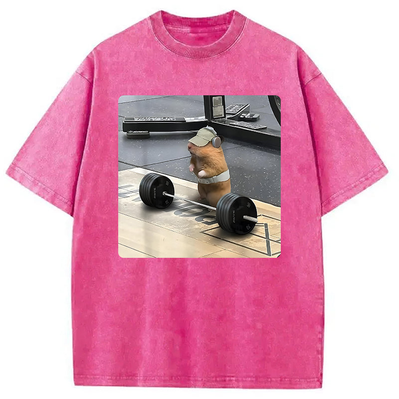 bbb Funny Cute Rat Weightlifting Meme Washed T-Shirt