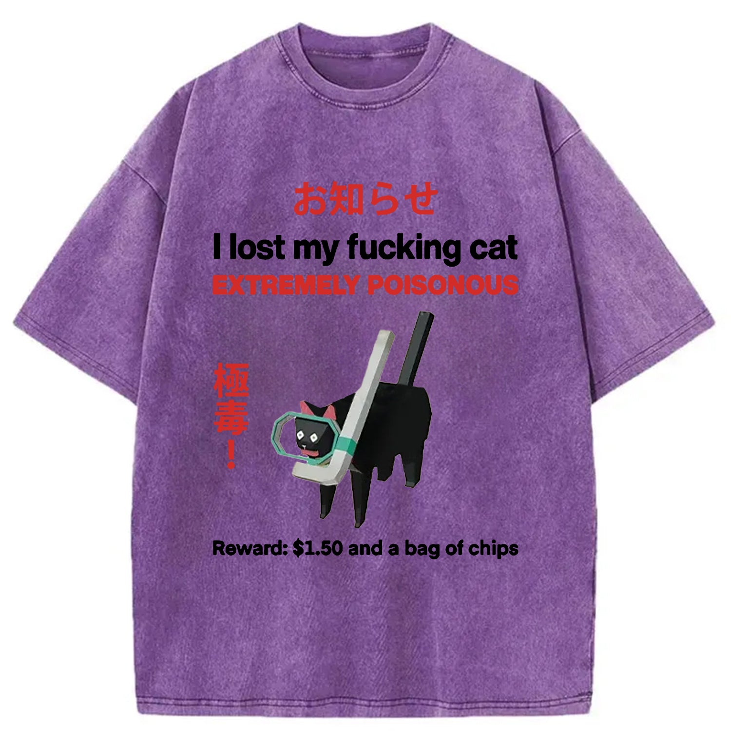 bbb Find The Toxic Cat Funny Washed T-Shirt