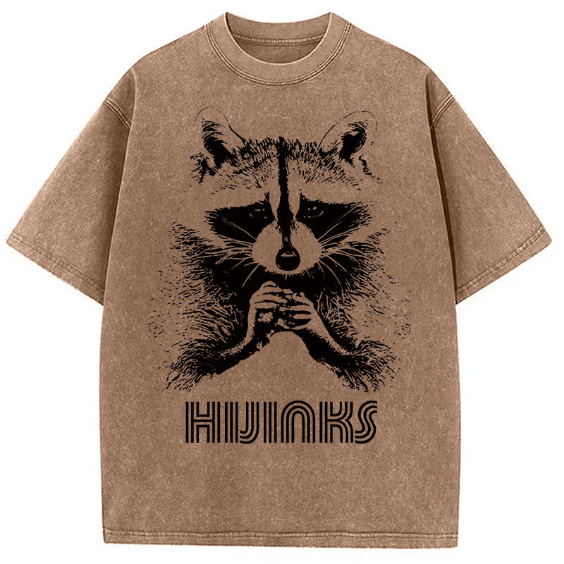 bbb Raccoon Hijinks Washed T-Shirt