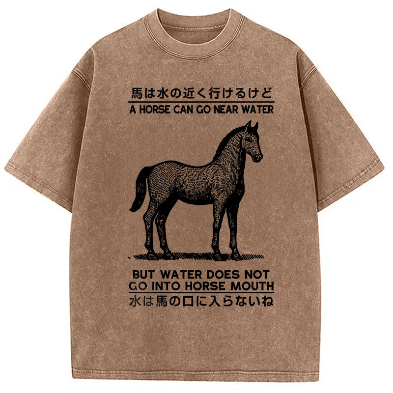 bbb Funny Horse And Water Saying Washed T-Shirt