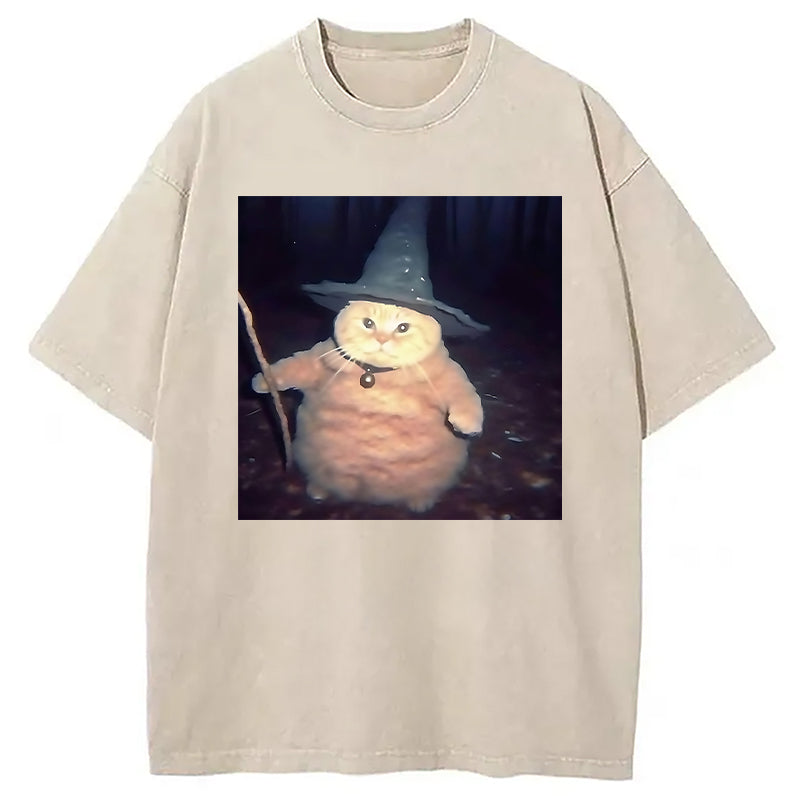 bbb Wizard Cat Funny Halloween Washed T-Shirt