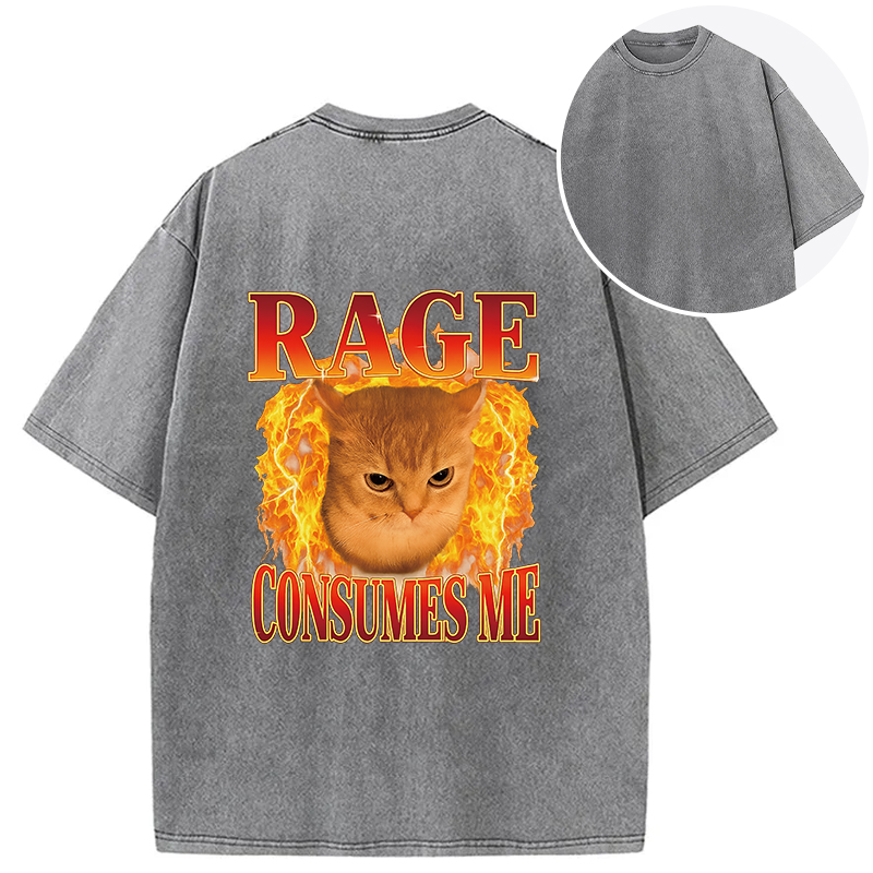 bbb Rage Consumes Me Edgy Funny Cat Meme Back Washed T-Shirt