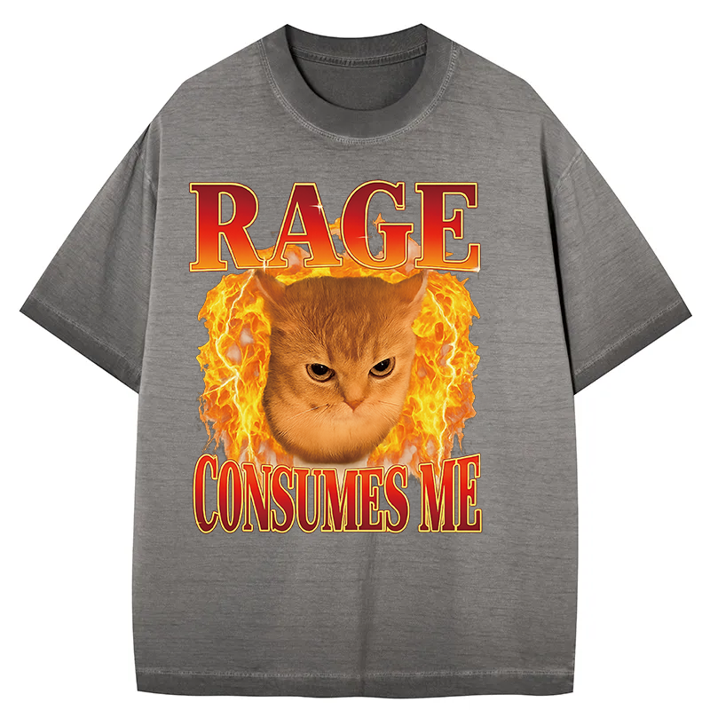 bbb Rage Consumes Me Edgy Funny Cat Meme Gradient Washed T-Shirt