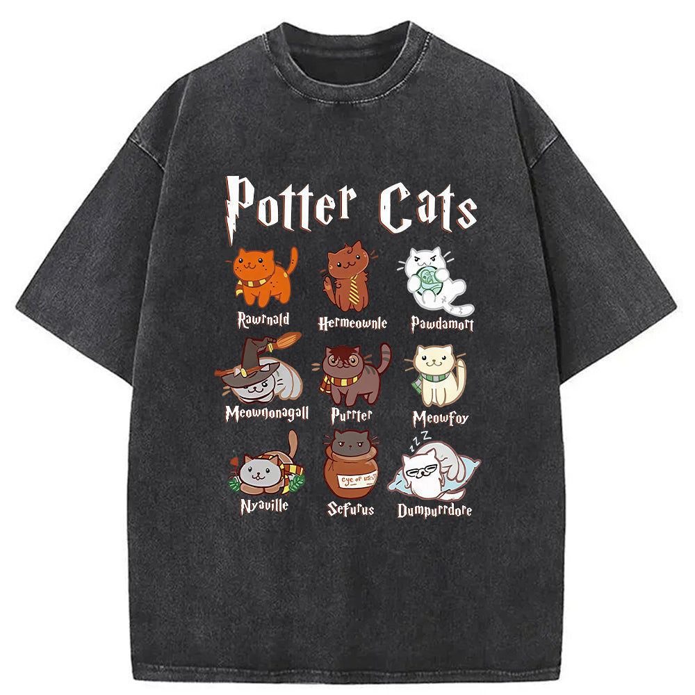 bbb Wizard Cats Washed T-Shirt