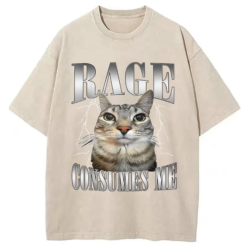 bbb Rage Consumes Me Funny Cat Washed T-Shirt