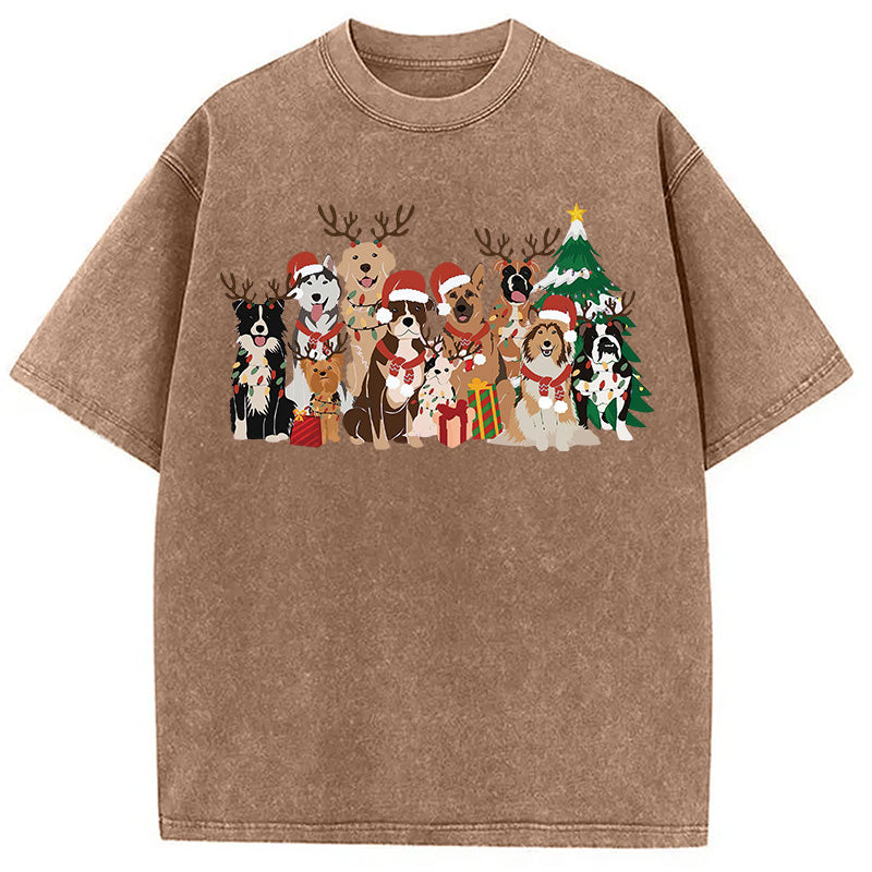 bbb Christmas Dogs Washed T-Shirt