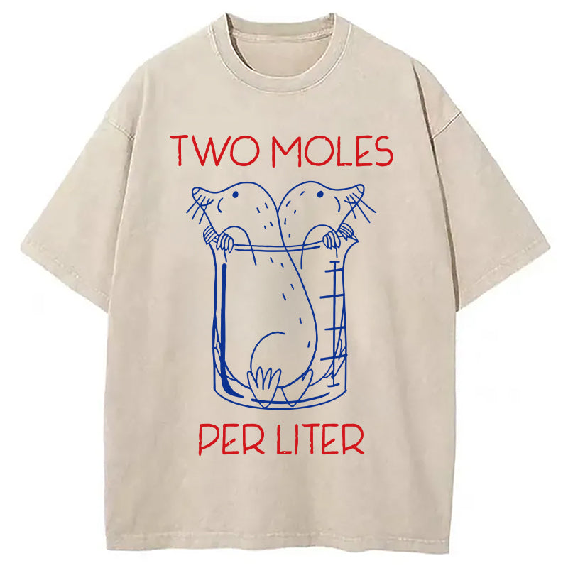 bbb Two Moles Per Liter Washed T-Shirt