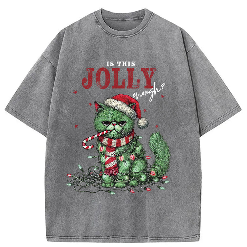 bbb Christmas Gift Washed T-Shirt