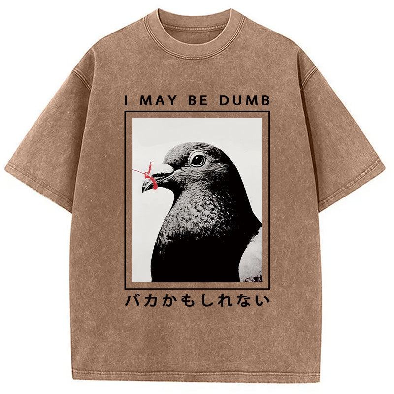 bbb I May Be Dumb Funny Washed T-Shirt