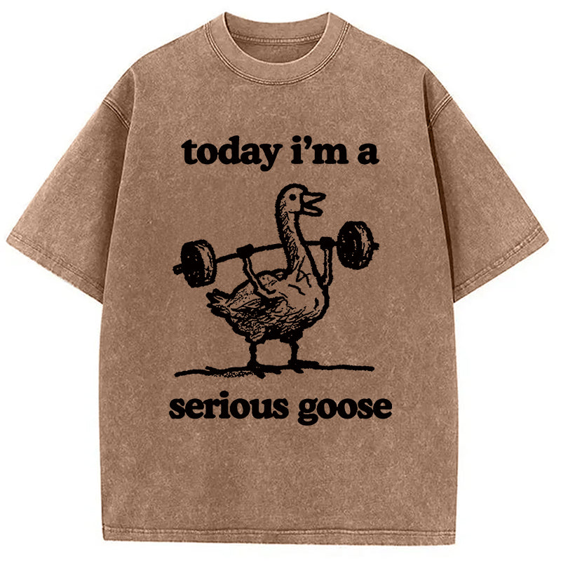 bbb Fitness Goose Washed T-Shirt