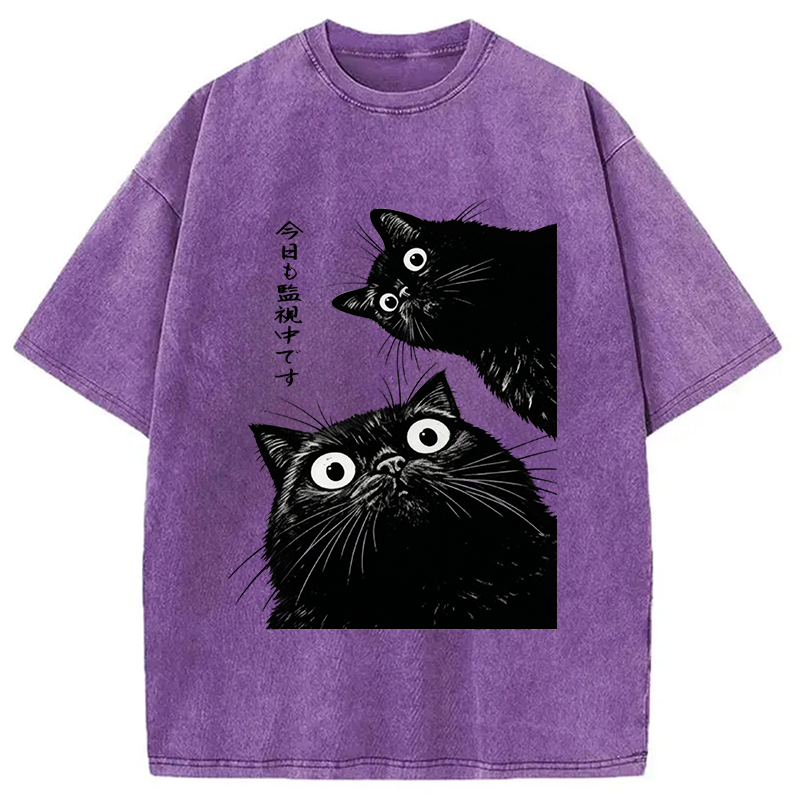 bbb The Cat Is Watching Today Washed T-Shirt