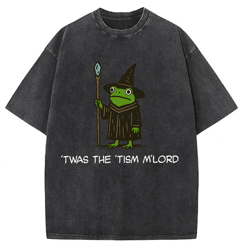 bbb Twas The Tism Frog Wizard Washed T-shirt