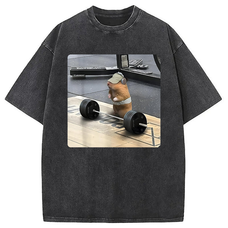 bbb Funny Cute Rat Weightlifting Meme Washed T-Shirt