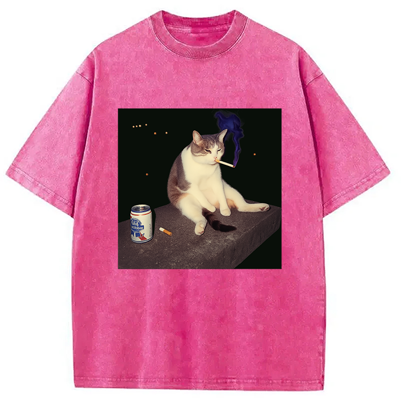 bbb Cigarette Kitten Funny Smoking Cat Meme Washed T-Shirt