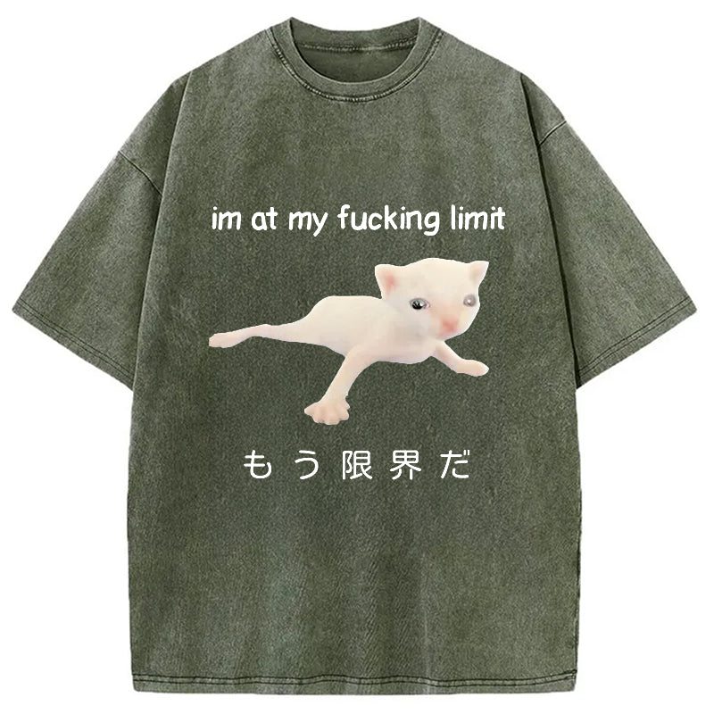 bbb Cat Reaching Its Limit Washed T-Shirt