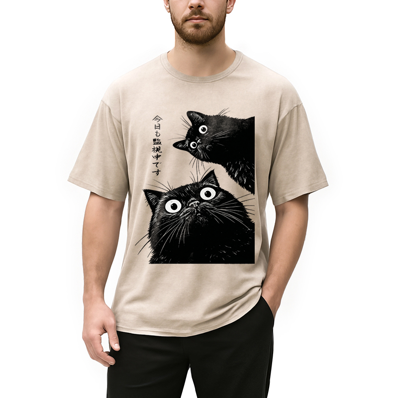 bbb The Cat Is Watching Today Washed T-Shirt