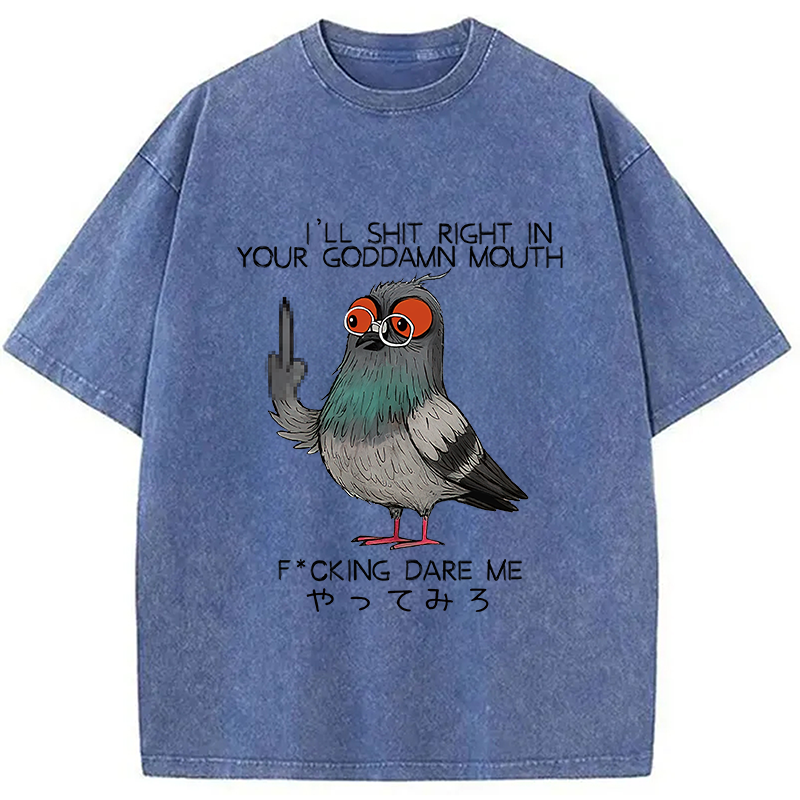 bbb Angry Pigeon Washed T-Shirt
