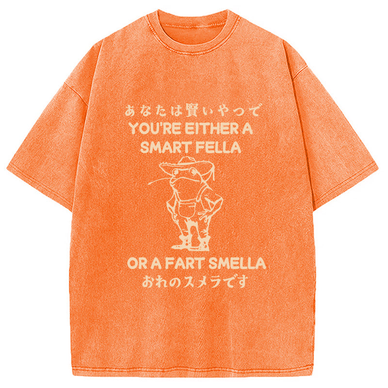 bbb Are You A Smart Fella Or Fart Smella Washed T-Shirt