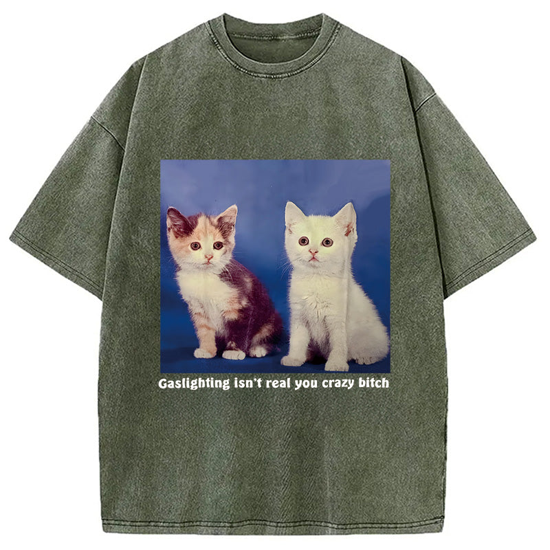 bbb Gaslighting Isn't Real You Crazy Bit*h Washed T-Shirt