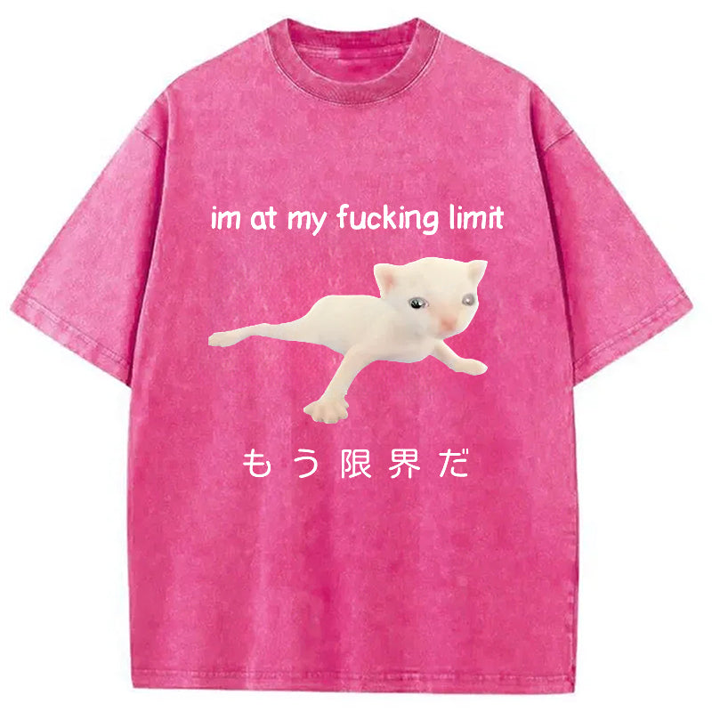 bbb Cat Reaching Its Limit Washed T-Shirt