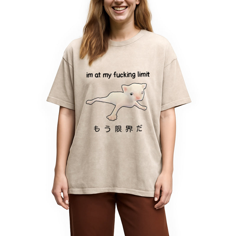 bbb Cat Reaching Its Limit Washed T-Shirt