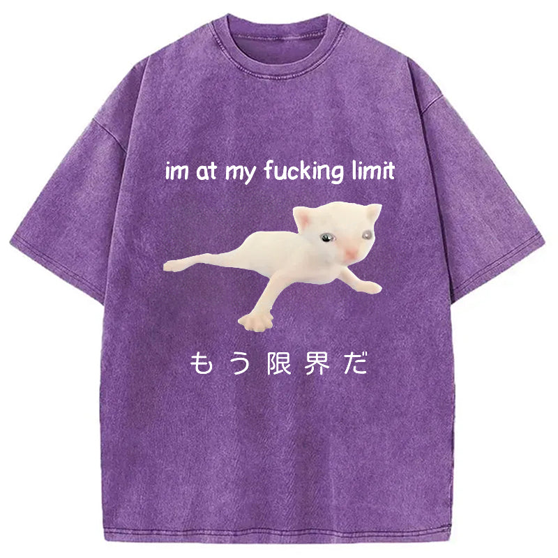 bbb Cat Reaching Its Limit Washed T-Shirt