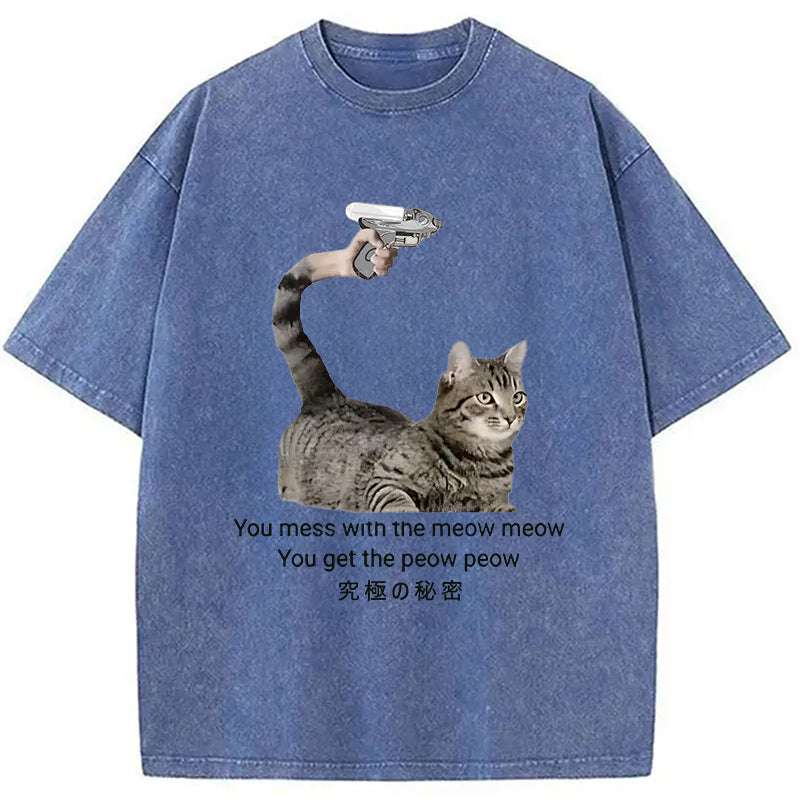 bbb Cat's Secret Weapon Washed T-Shirt