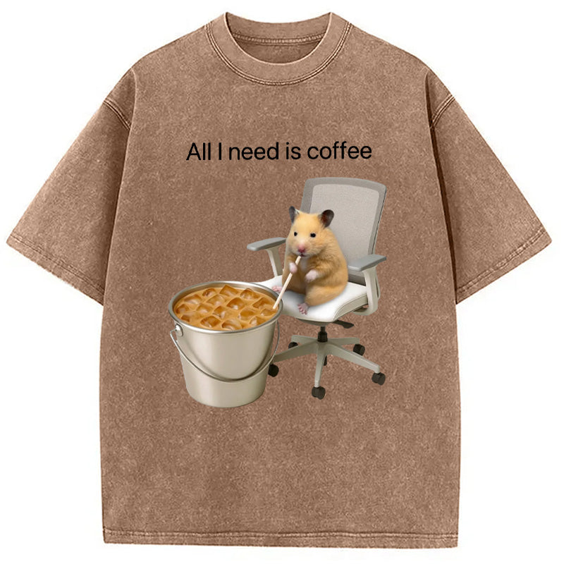 bbb All I Need Is Coffee Meme Washed T-Shirt