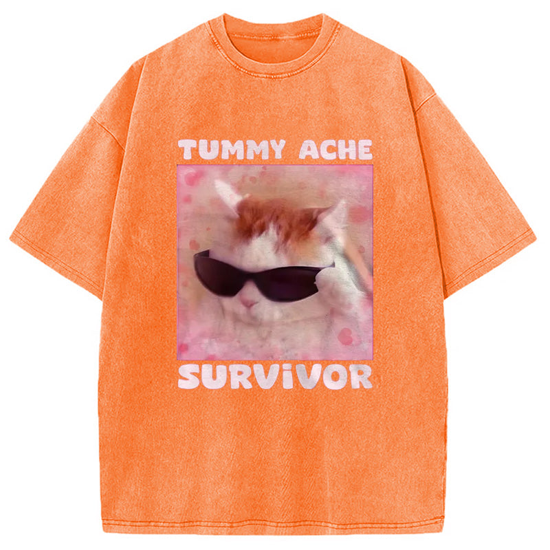 bbb Tummy Ache Survivor Funny Cat Meme Washed T-Shirt