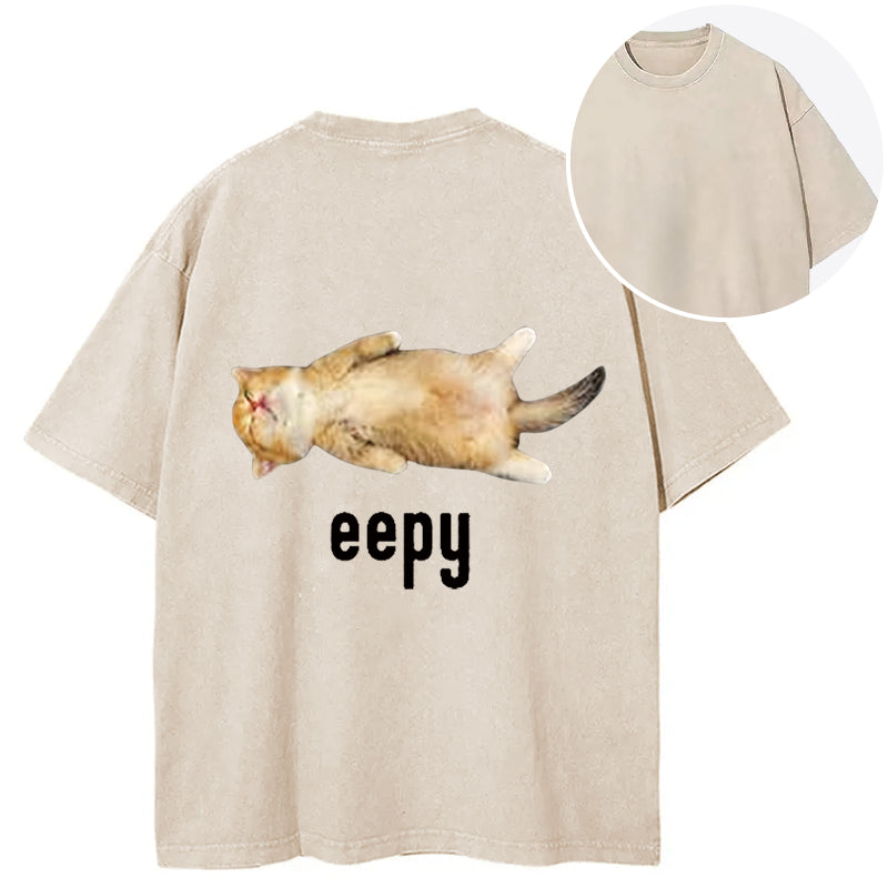 bbb Silly Sleepy Cat Meme Back Washed T-Shirt