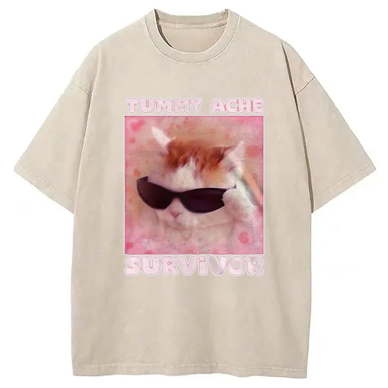bbb Tummy Ache Survivor Funny Cat Meme Washed T-Shirt
