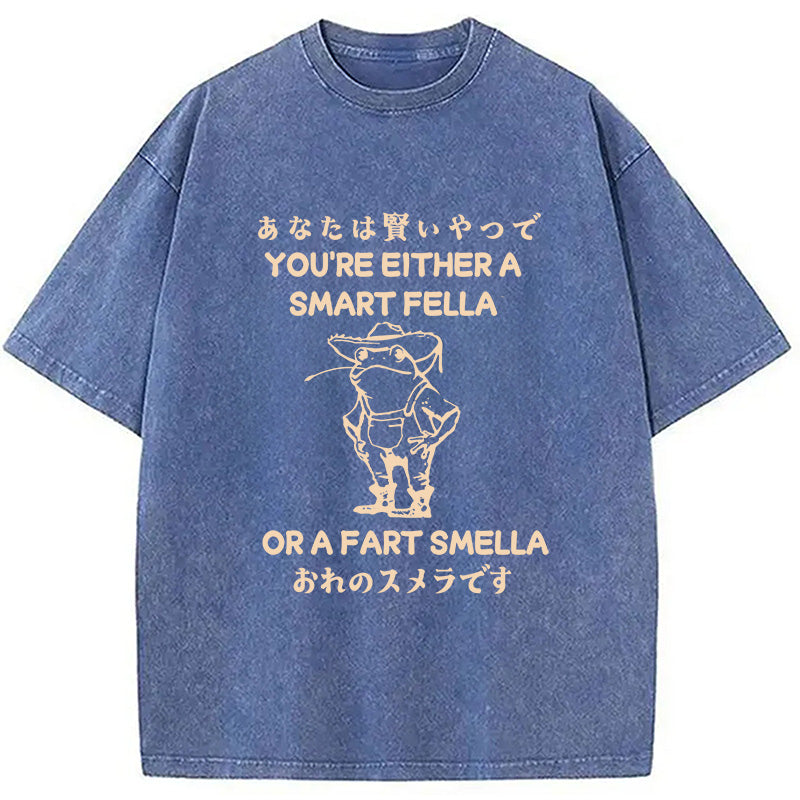 bbb Are You A Smart Fella Or Fart Smella Washed T-Shirt